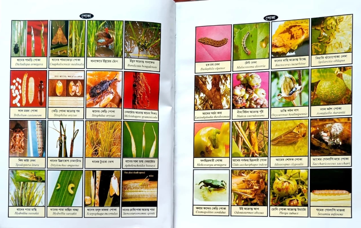 PHASALER ROG-POKAR DAKTARI || A Handbook of Plant Protection for Crops || Author : Dr. Goshto Nayban || Publisher : Mehanati Prakashani