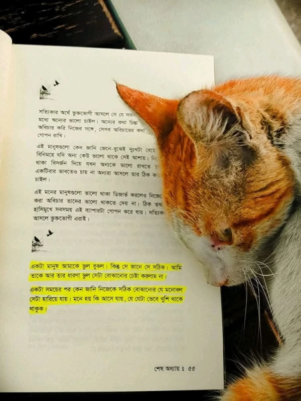 Shesh Odhyay By Ashraf Ahmed - শেষ অধ্যায় - আশরাফ আহমেদ - অন্যধারা প্রকাশনী